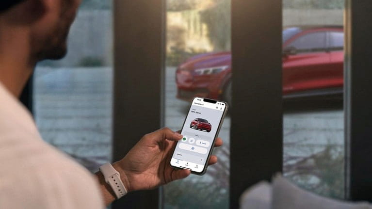 Remote locking